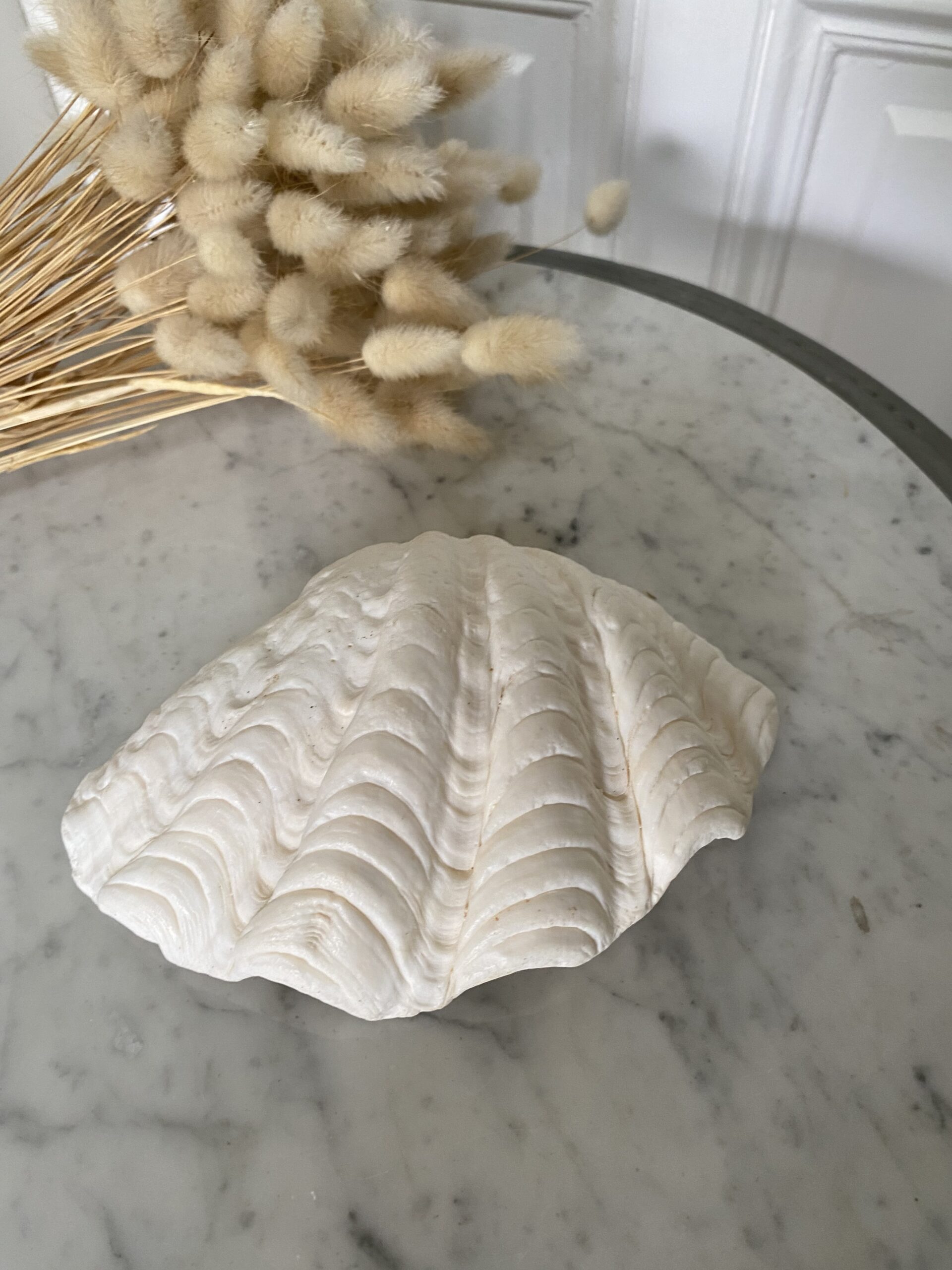 Coquillage bénitier/vide poche