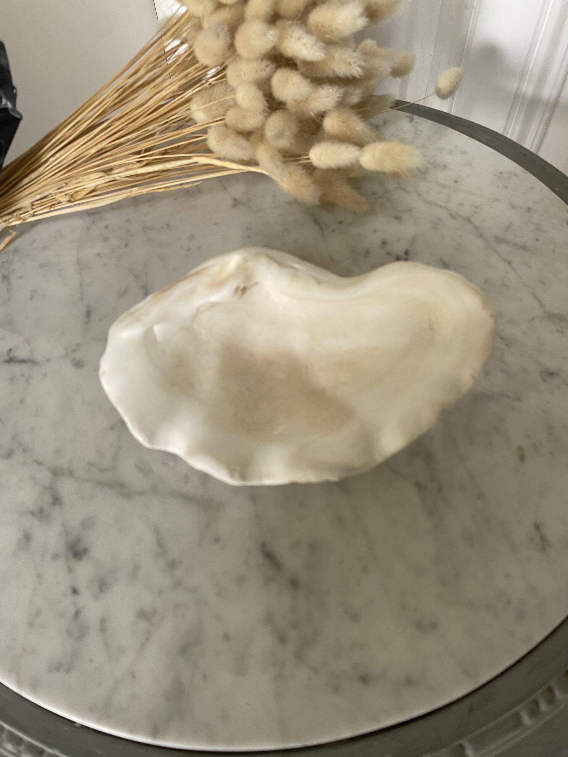 Coquillage bénitier/vide poche