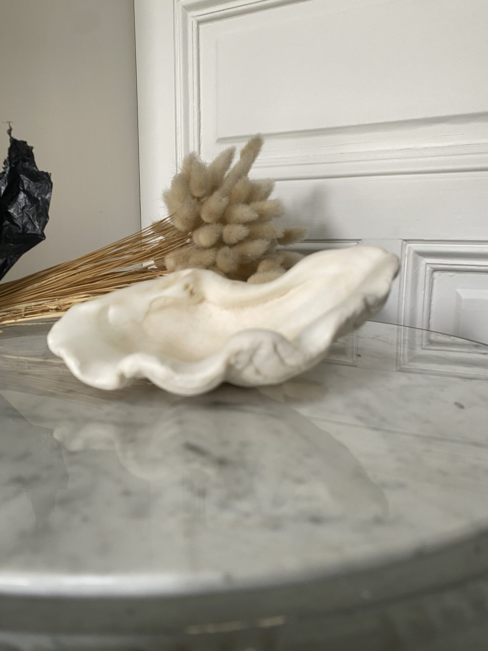 Coquillage bénitier/vide poche