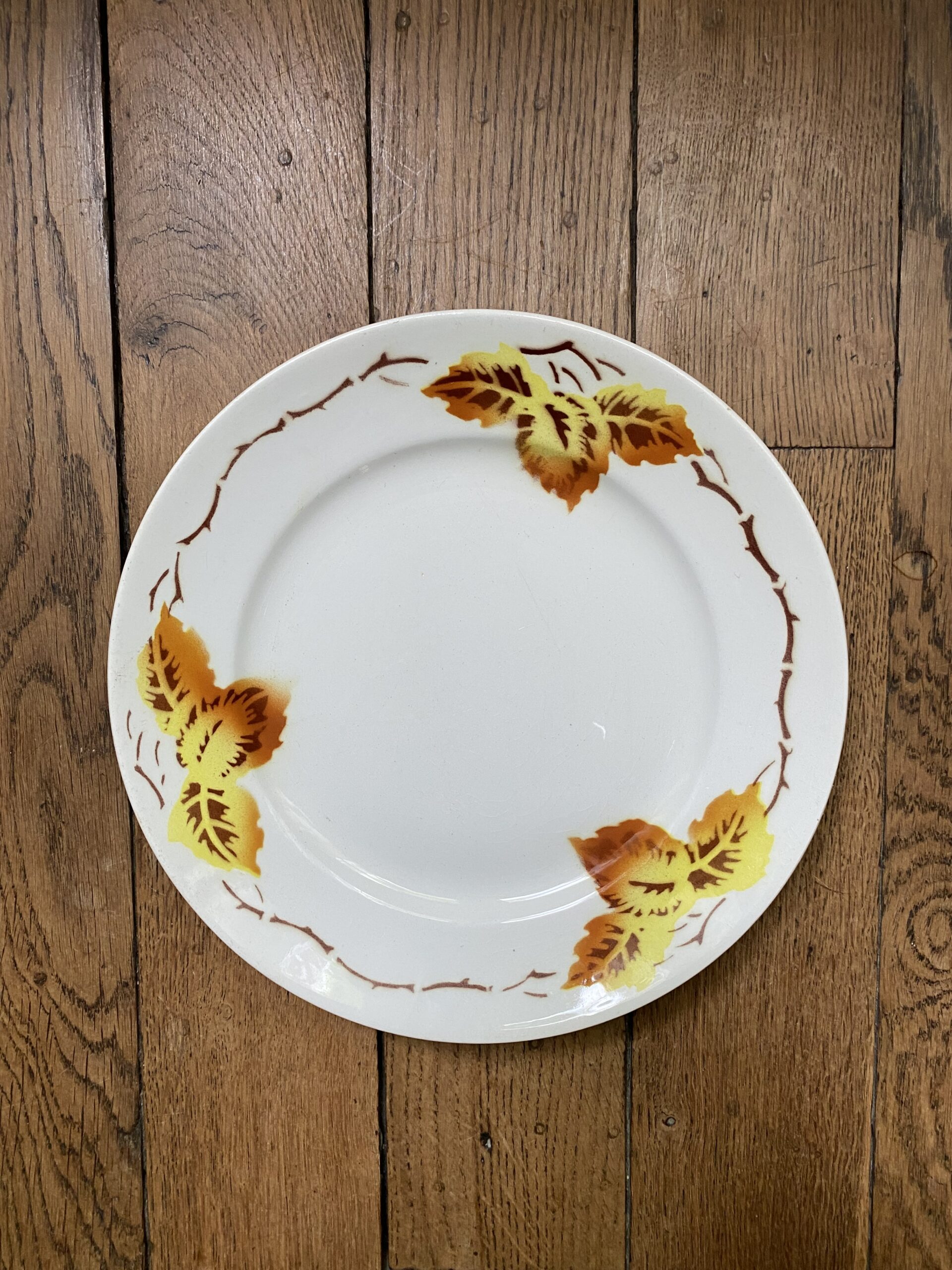 Inspiration végétale dans les objets colombe brocante poétique